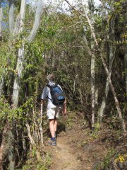 10-Hike to the Christoffel Mountain